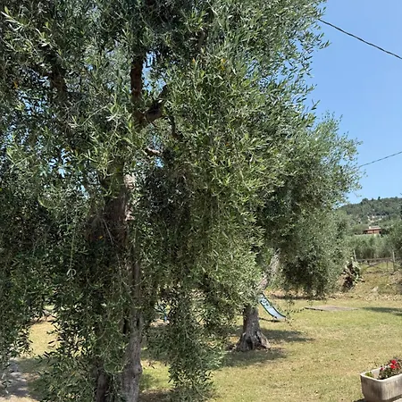 Viola - Giardino E Parcheggio Gratuito