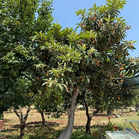 Casa de Férias Viola Peschici