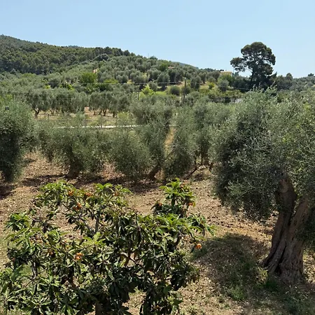 Viola - Giardino E Parcheggio Gratuito *
